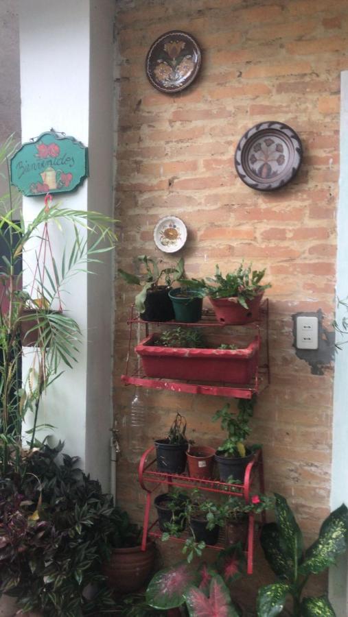 La Petite Maison De Diana Assunção Exterior foto