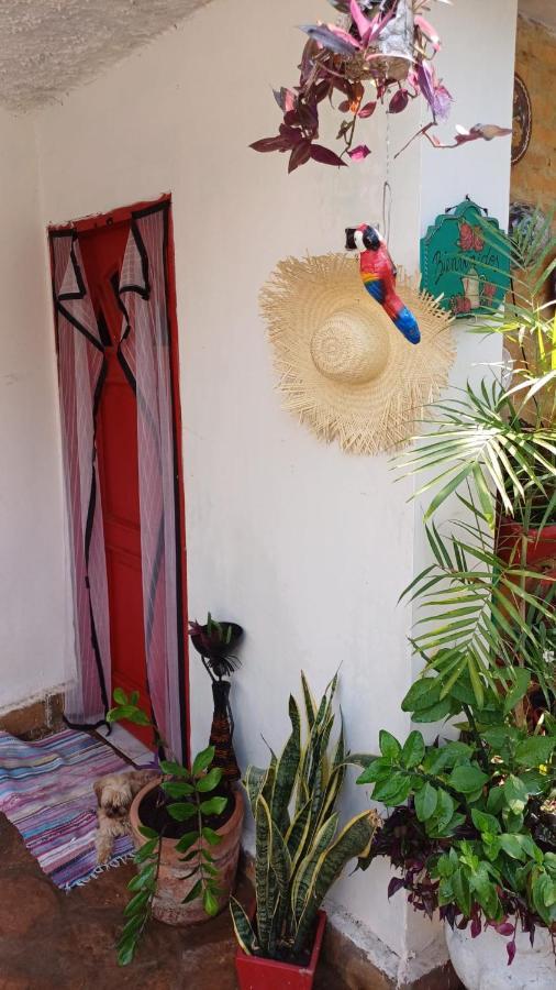 La Petite Maison De Diana Assunção Exterior foto