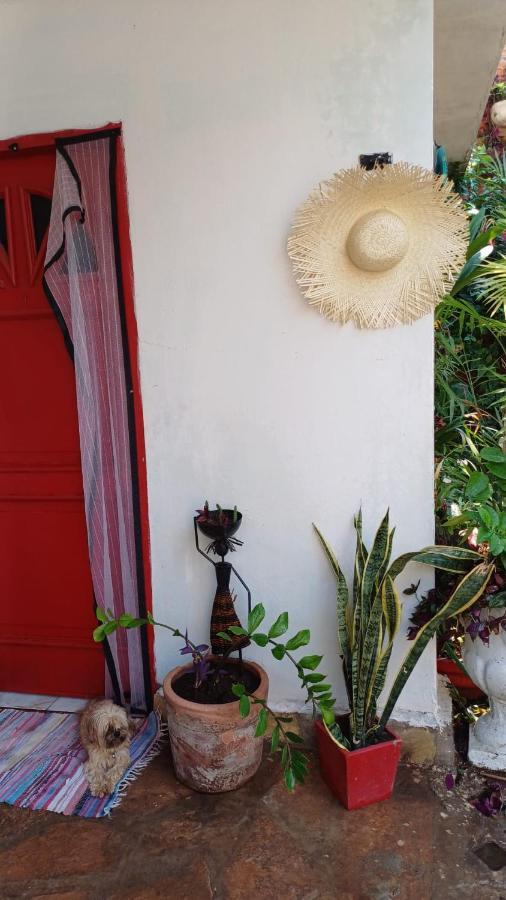 La Petite Maison De Diana Assunção Exterior foto